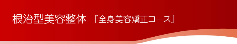 根治型美容整体
『全身美容矯正コース』