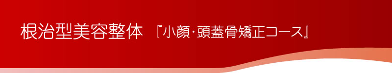 根治型美容整体