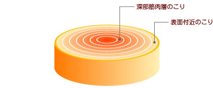 深部筋肉層のこりと表面付近のこりのイメージ