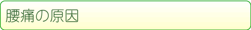 腰痛の原因