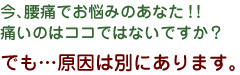 今、腰痛でお悩みのあなた！！
痛いのはココではないですか？