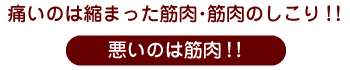 痛いのは縮まった筋肉・筋肉のしこり！！悪いのは筋肉！！