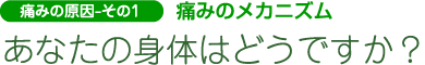 痛みの原因 - その1　痛みのメカニズム
あなたの身体はどうですか？