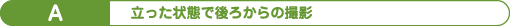 A:立った状態で後ろからの撮影